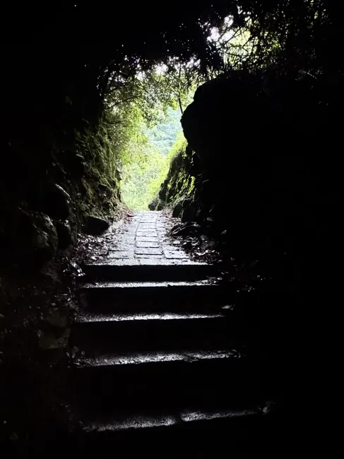 Stone steps leading back toward the light.
