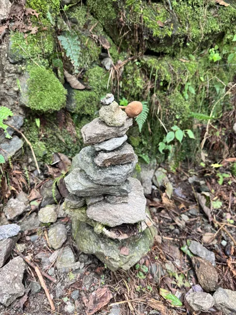 A small stack of stones beside the forest trail.