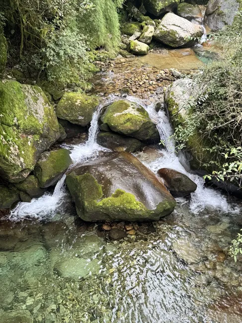 Clear water threading between moss-covered rocks.