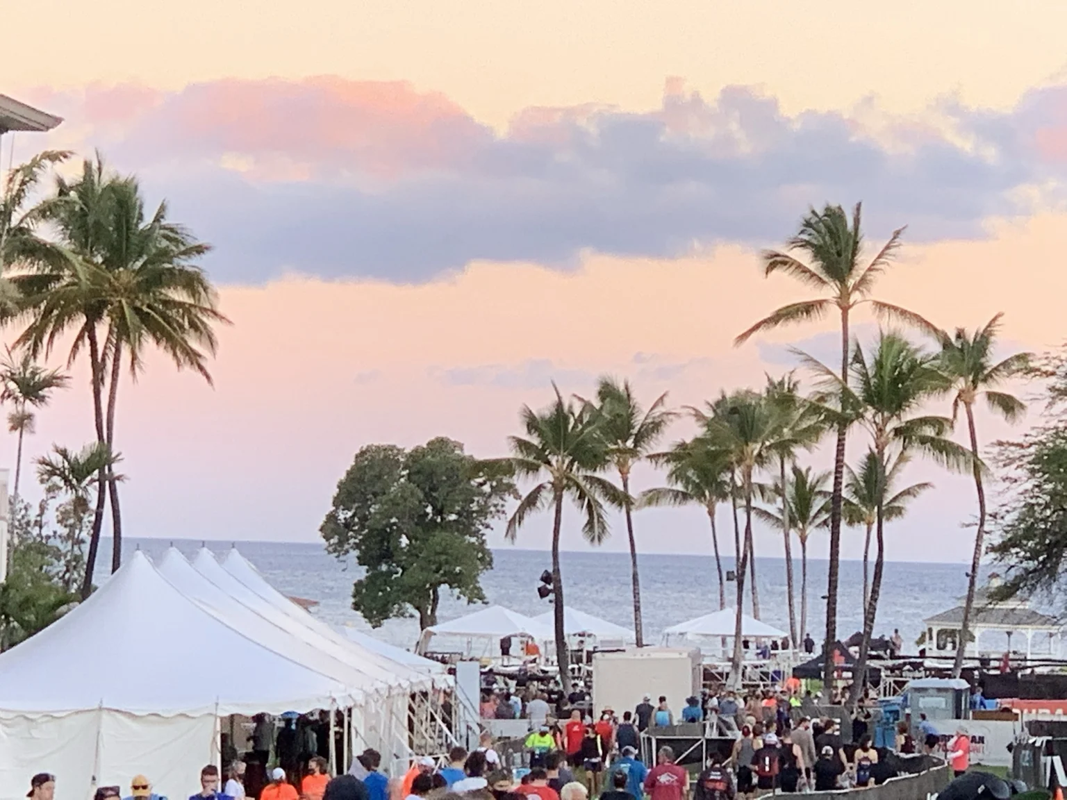 Race morning beneath the palms.