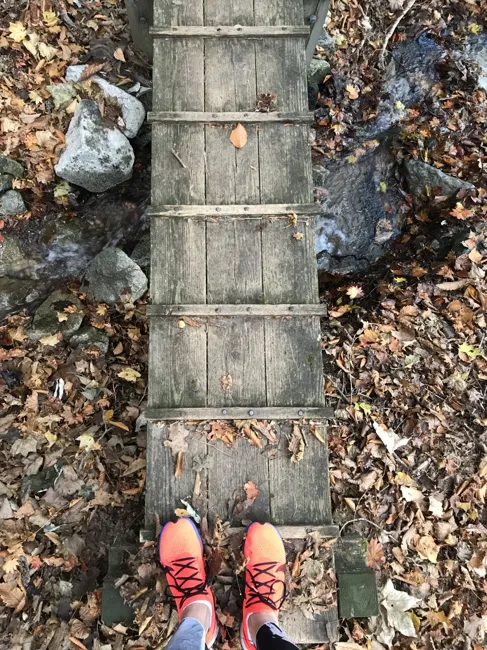 Off the road, onto a narrow woodland bridge.