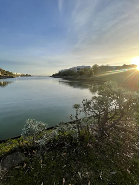 Quiet water and light along the bay.