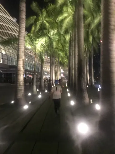A quiet moment beneath the palms.