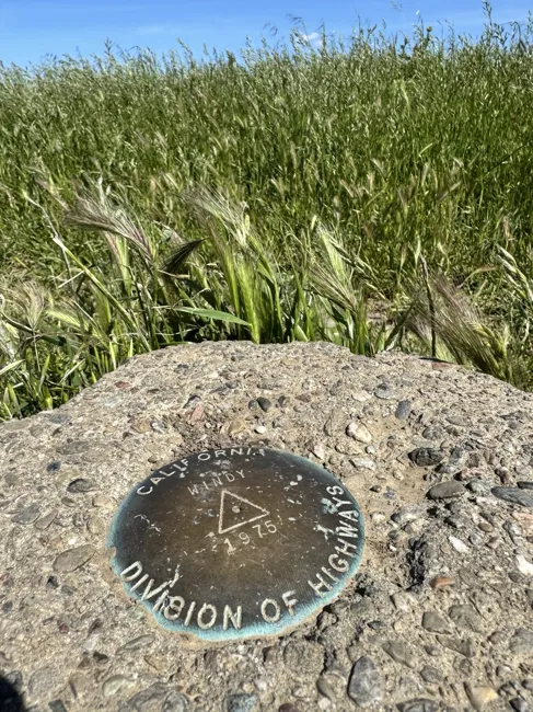 A summit marker among the grasses.