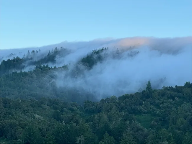Clouds spilling over the ridge at Windy Hill.